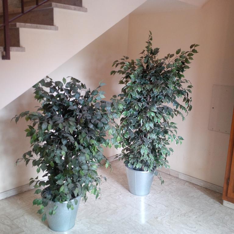 Casa Venturi Διαμέρισμα Σκαντίτσι Εξωτερικό φωτογραφία